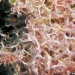 IMG_4798 IMG_4798