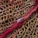 IMG_4856 IMG_4856
