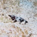 IMG_4880 IMG_4880