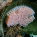 IMG_4936 IMG_4936