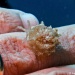 IMG_4955 IMG_4955