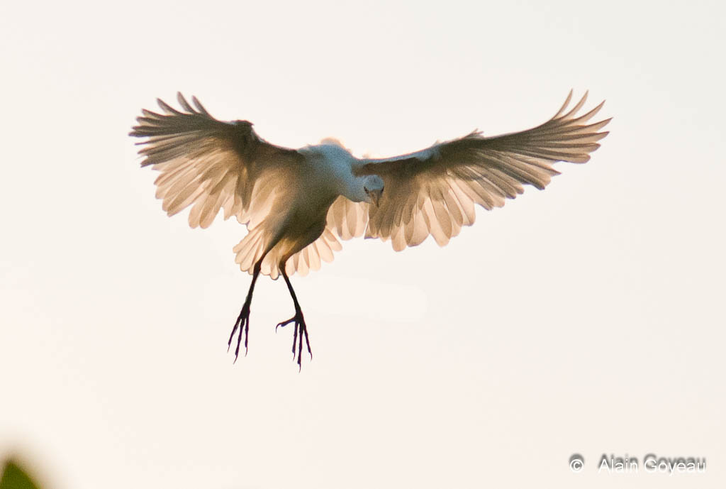 DSC_5519-Modifier DSC_5519-Modifier