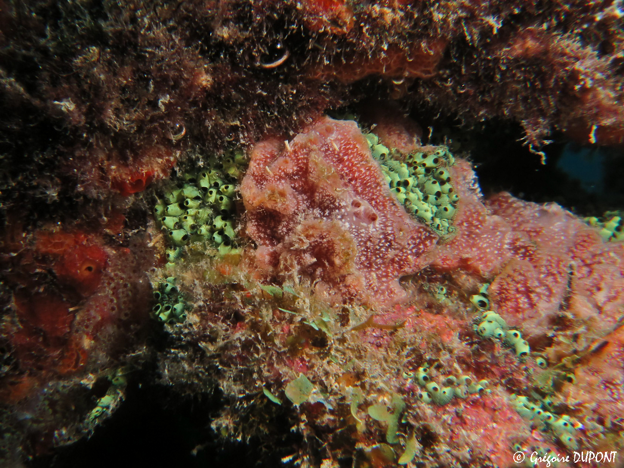IMG_4745 IMG_4745