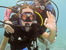 Le baptême de plongée en Guadeloupe, une aventure qui va devenir un souvenir inoubliable. Le baptême de plongée en Guadeloupe, une aventure qui va devenir un souvenir inoubliable.