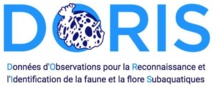 Logo Doris de la FFESSM.