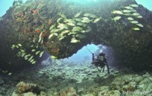 Plongeuse sous une arche à "l'Oeil". Plongeuse sous une arche à "l'Oeil".