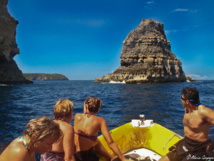 Plongée à la Grande Vigie, Guadeloupe. Plongée à la Grande Vigie, Guadeloupe.