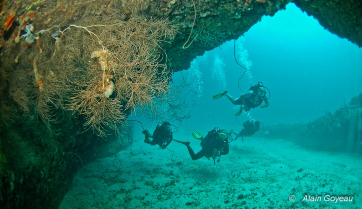 Les Grottes de Port-Louis en Guadeloupe à découvrir absolument. Les Grottes de Port-Louis en Guadeloupe à découvrir absolument.