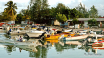 La pêche est l'une des activités de Port-Louis en Guadeloupe.