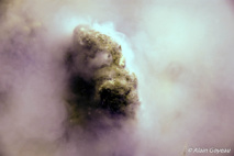 Les éponges mâles libérent un nuage de spermatozoïdes. Les éponges mâles libérent un nuage de spermatozoïdes.