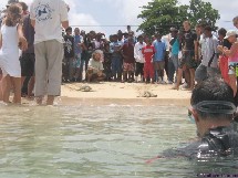 La communication est essentielle pour la sauvegarde des tortues marines de Guadeloupe. La communication est essentielle pour la sauvegarde des tortues marines de Guadeloupe.