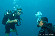 Formation plongée Guadeloupe Open Water. Formation plongée Guadeloupe Open Water.