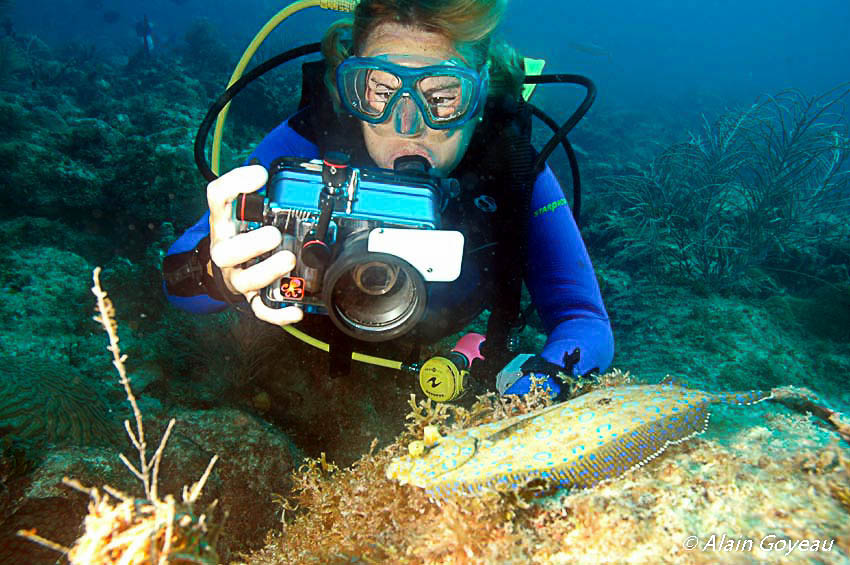 Spécialite photographie numérique Padi.