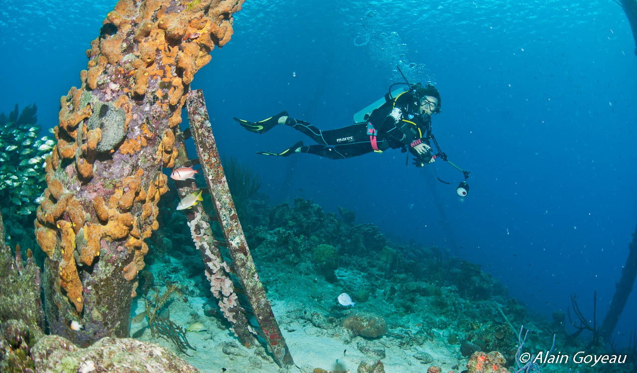 Plongez Padi dans les Caraïbes.