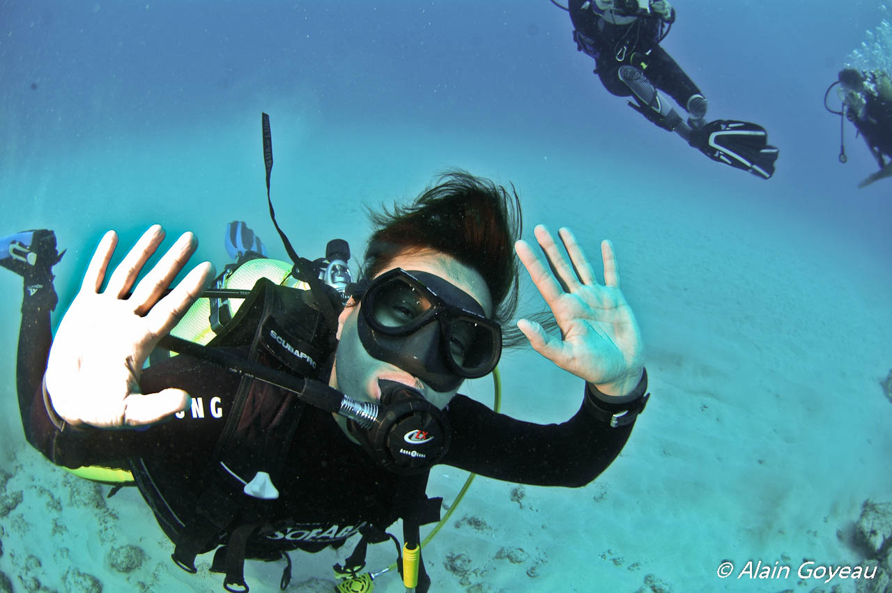 Aprés votre baptême vous pouvez poursuivre votre formation pour devenir plongeur confirmé. Aprés votre baptême vous pouvez poursuivre votre formation pour devenir plongeur confirmé.