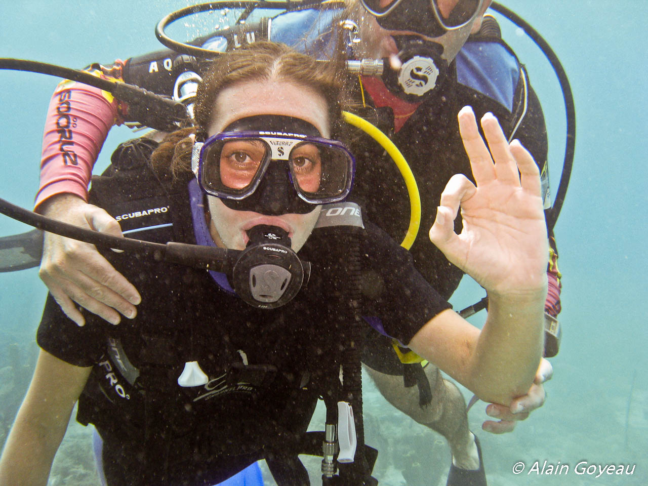 Le baptême de plongée en Guadeloupe, une aventure qui va devenir un souvenir inoubliable. Le baptême de plongée en Guadeloupe, une aventure qui va devenir un souvenir inoubliable.