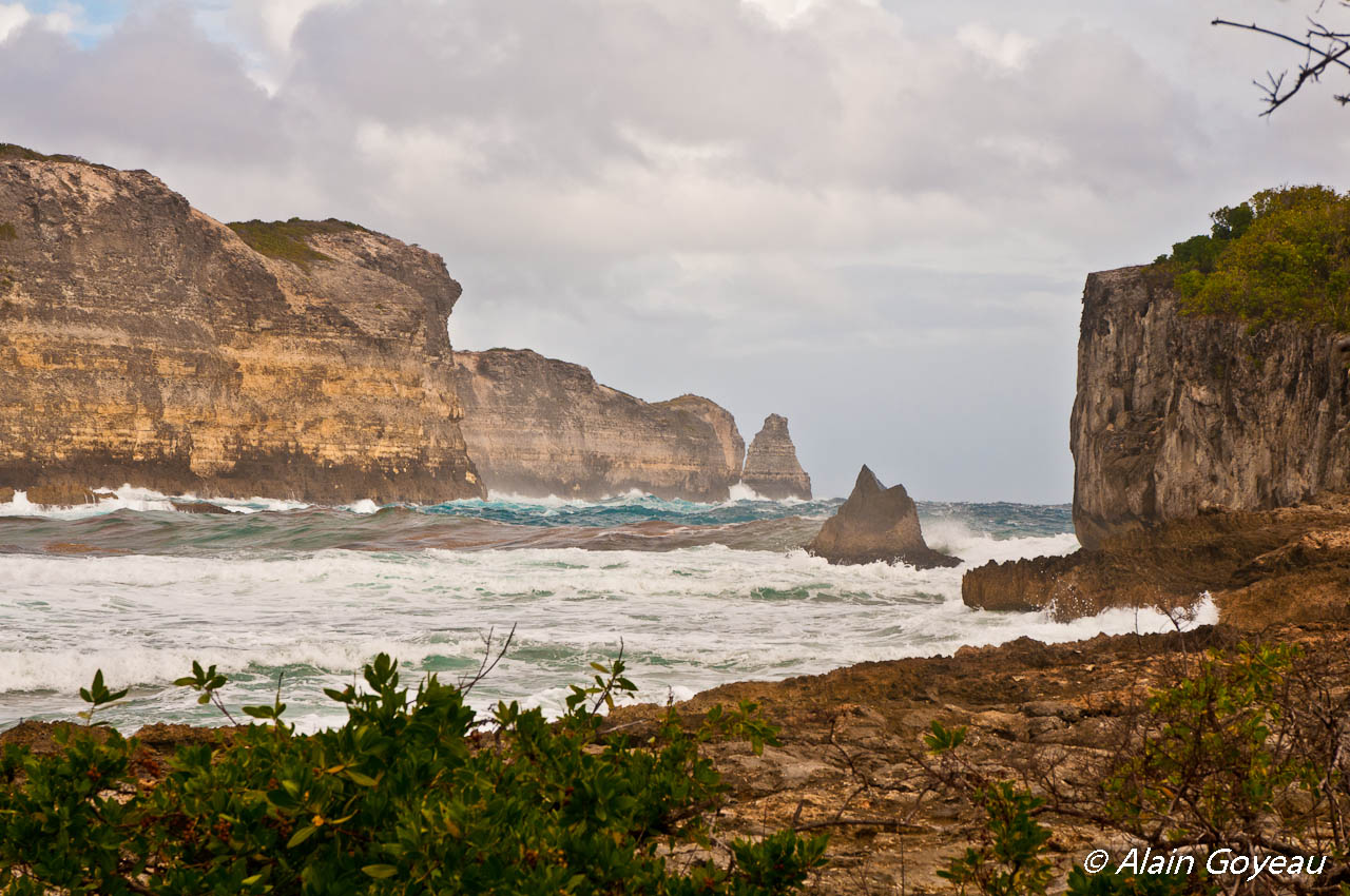 Les falaises de la Grande Vigie atteignent 80 m de haut.