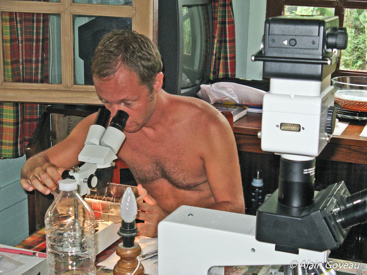 Horia Galea, Docteur en Biologie, observe  une colonie d'hydraire au binoculaire.