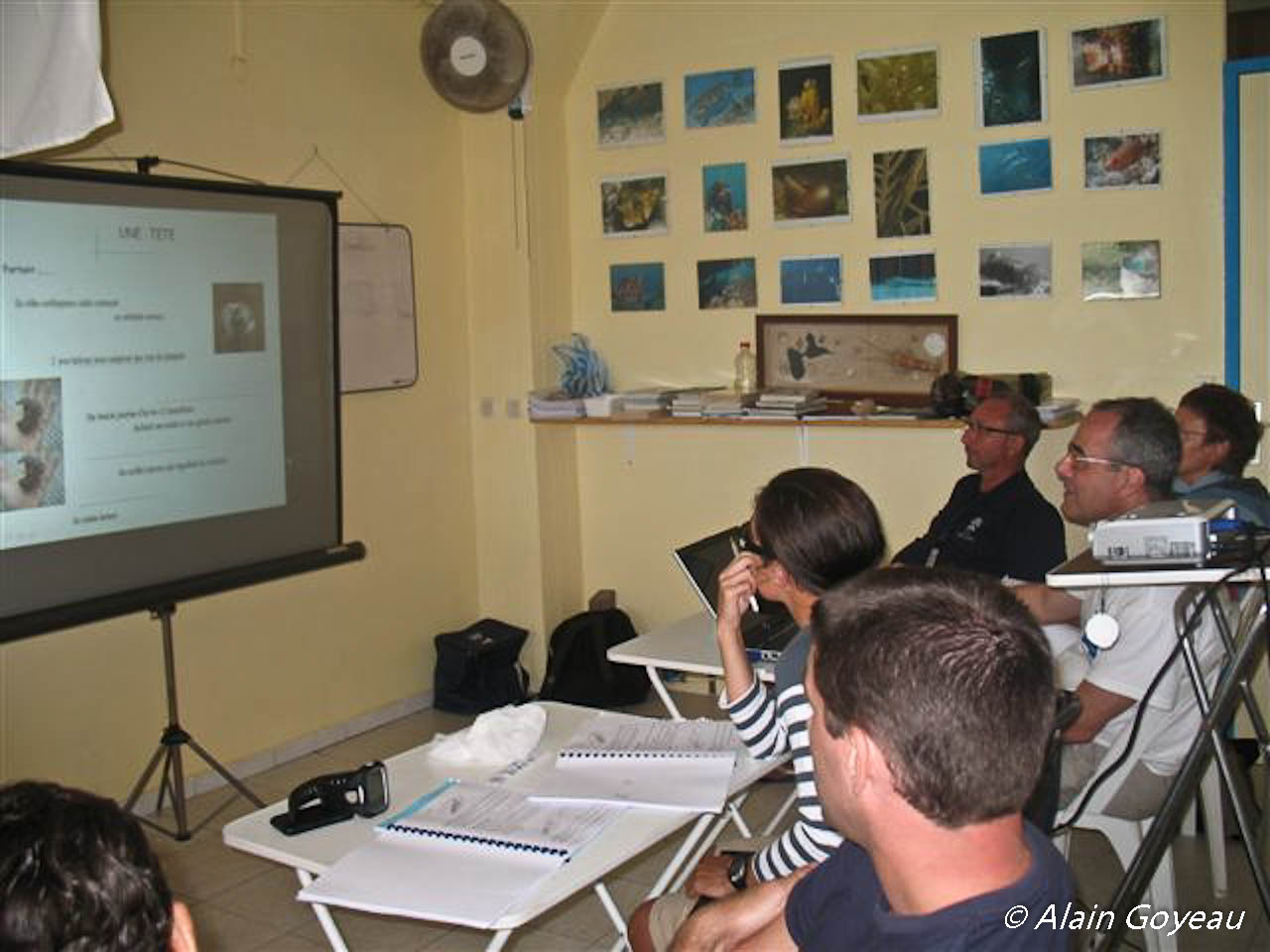Stage de biologie sous-marine à Eden Plongée en Guadeloupe pour une meilleur connaissance du milieu marin. Stage de biologie sous-marine à Eden Plongée en Guadeloupe pour une meilleur connaissance du milieu marin.