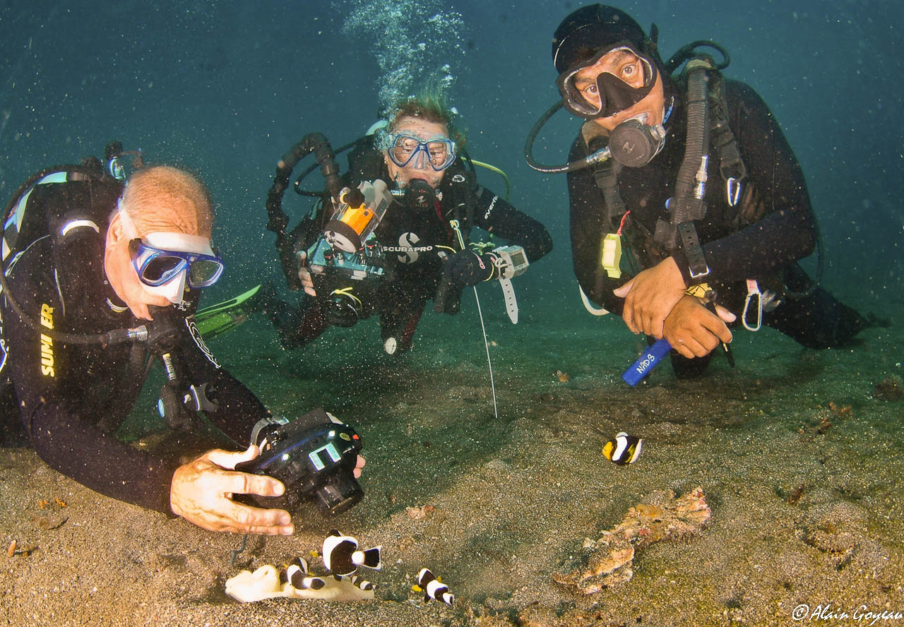 Plongée en Indonésie sous l'oeil attentif d'un Dive Master Padi.