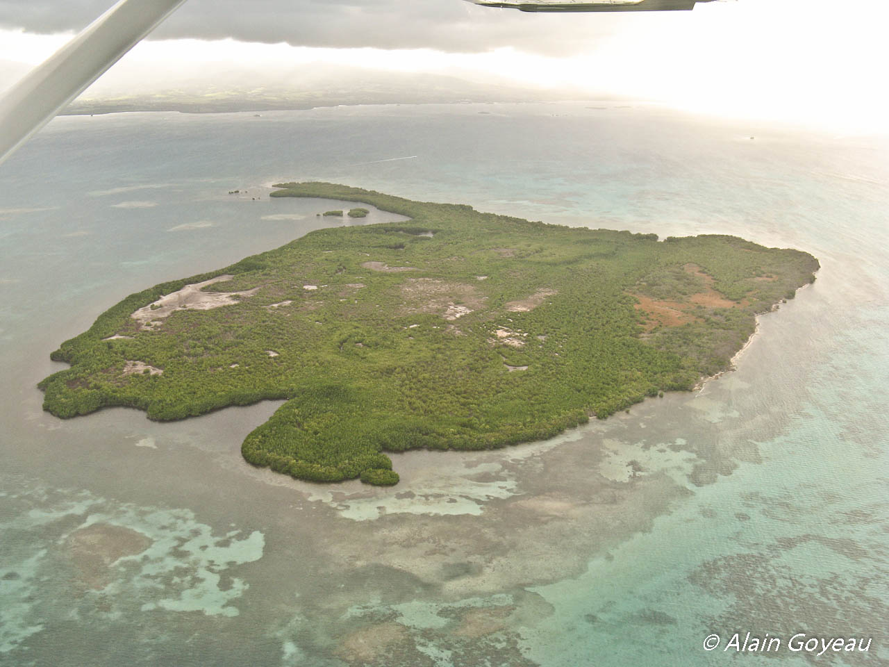 L'Ilet Fajou dans le Parc National de Guadeloupe est classé coeur de Parc. Plongée Guadeloupe.