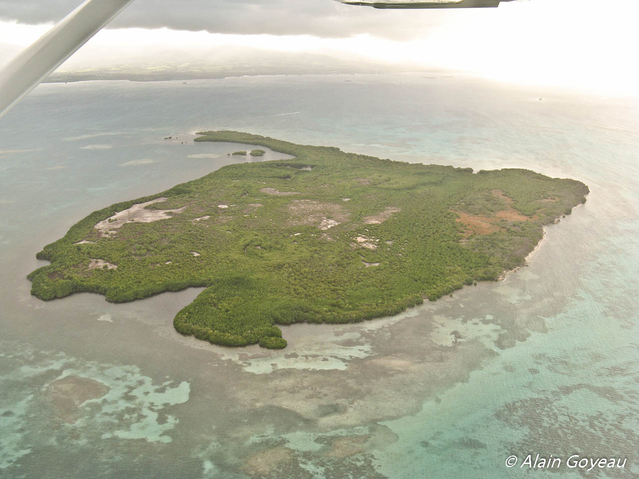 L'Ilet Fajou dans le Parc National de Guadeloupe est classé coeur de Parc. Plongée Guadeloupe. L'Ilet Fajou dans le Parc National de Guadeloupe est classé coeur de Parc. Plongée Guadeloupe.