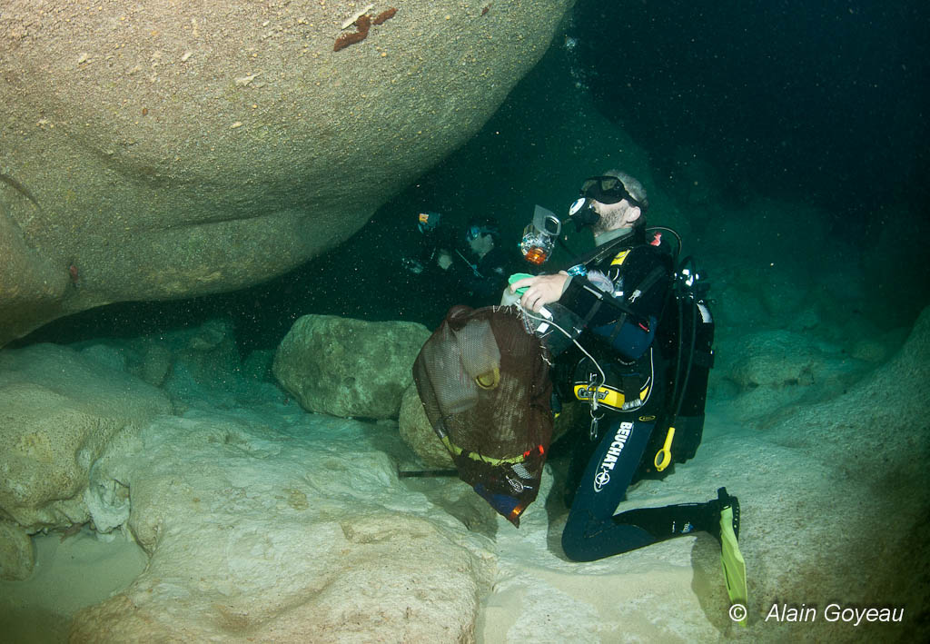 Les grottes obscures de Port Louis n'ont pas échappé à l'inventaire