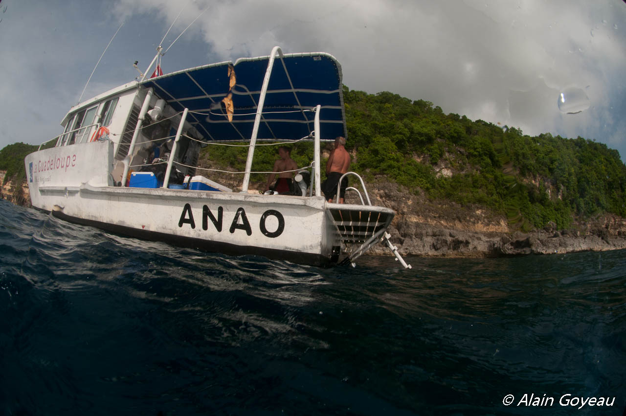 l'Anao, la bateau du Parc National de Guadeloupe, au pied des falaises de la Grande Vigie