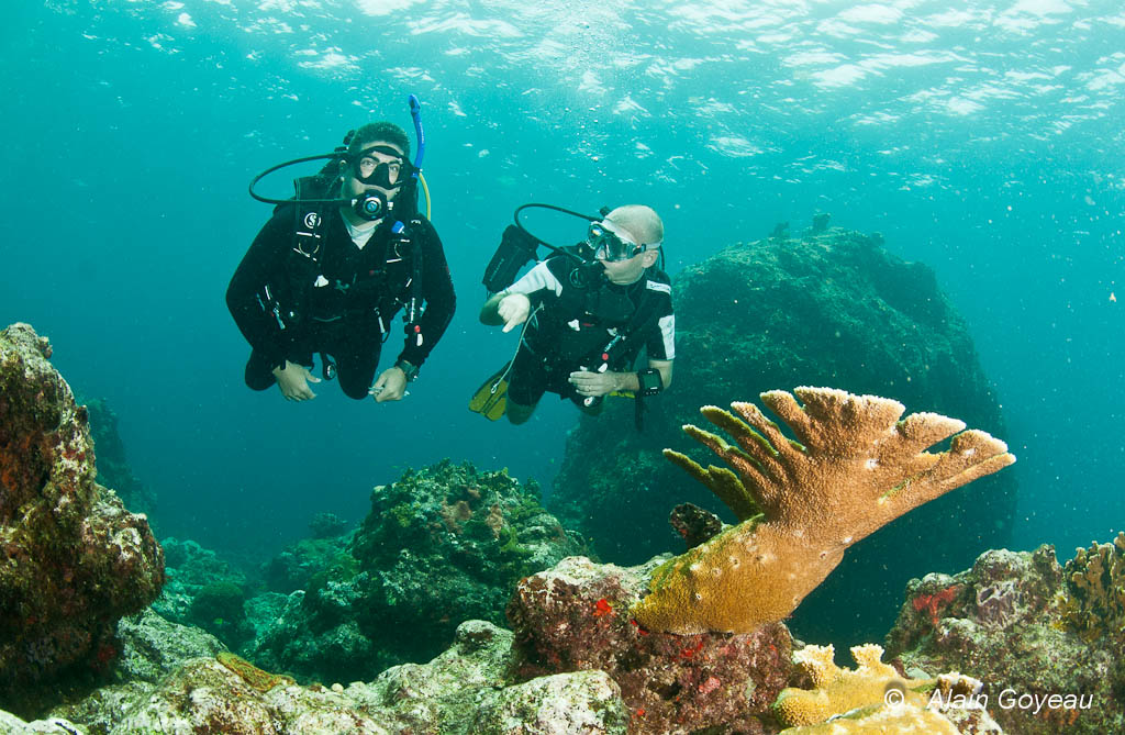 Si vous êtes suffisemment à l'aise, votre moniteur vous lachera et restera à côté de vous. Si vous êtes suffisemment à l'aise, votre moniteur vous lachera et restera à côté de vous.