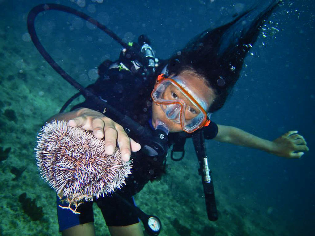 Le baptême de plongée, un moment ludique. Rencontre avec un oursin blanc. Le baptême de plongée, un moment ludique. Rencontre avec un oursin blanc.