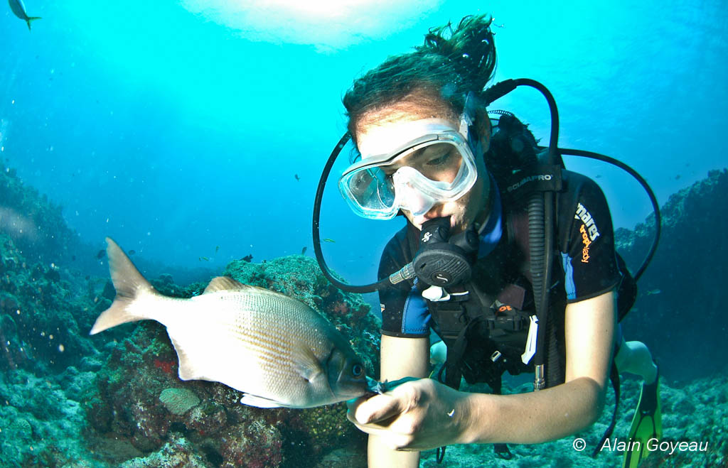 Eden Plongée à Port-Louis en Guadeloupe. Eden Plongée à Port-Louis en Guadeloupe.