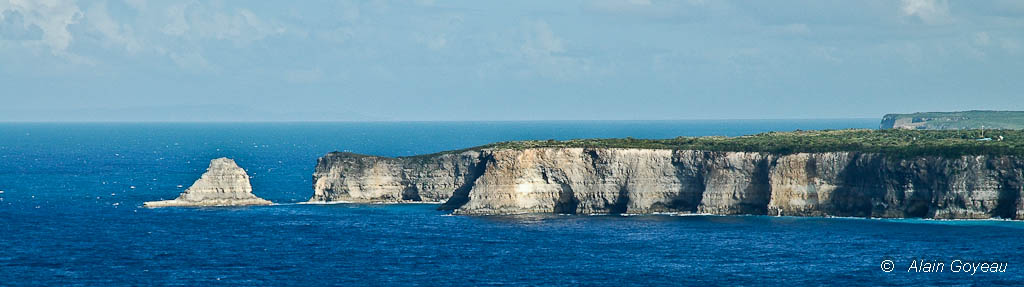 Les falaises de la Grande Vigie en Guadeloupe, un paysage époustouflant.