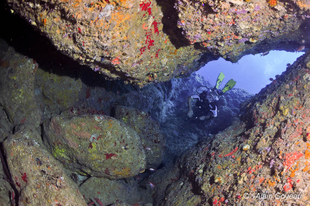 La plongée à la Pointe Montagnier commence par une descente parmi les éboulis rocheux. Plongée Guadeloupe.