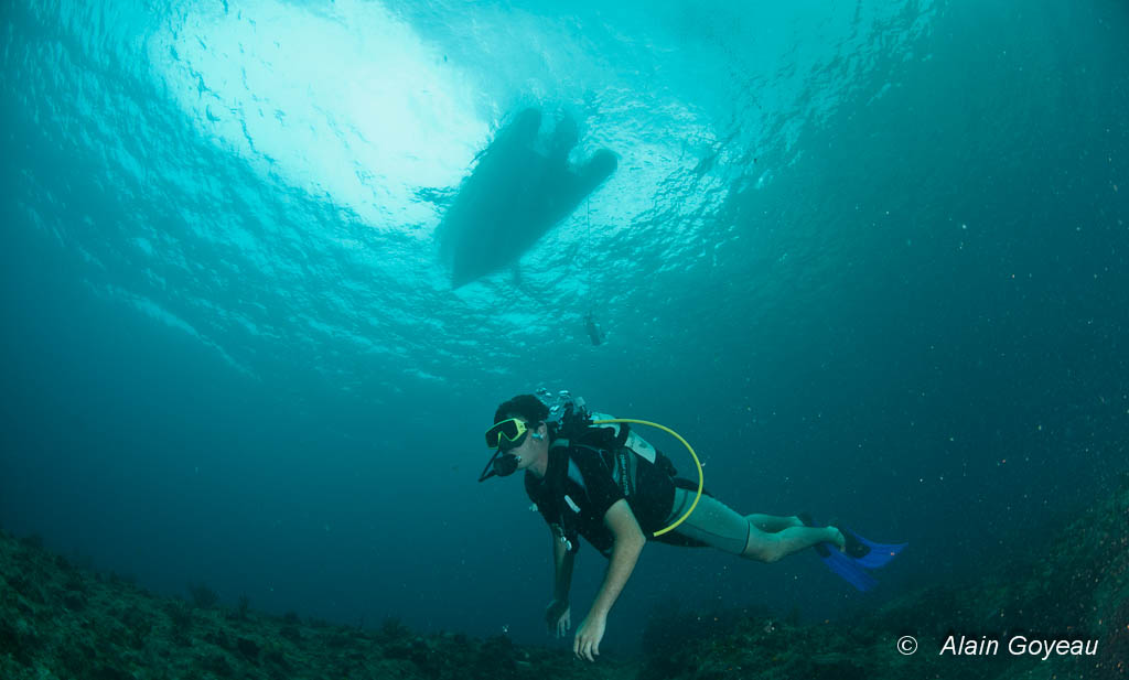 Orientation en plongée sous-marine. N'oubliez pas de chercher l'ombre du bateau.