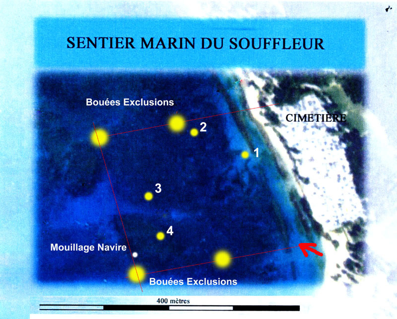 Randonnée subaquatique sur le sentier sous-marin de Port Louis.