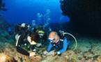 Les stages de formation en biologie subaquatique en Guadeloupe.