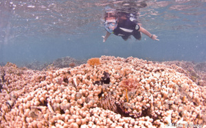 La Randonnée Subaquatique ou Snorkeling.