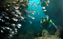 Les Grottes de Port Louis et du Nord Grande Terre de la Guadeloupe.