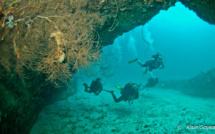 Les spots de plongée du Grand Cul de Sac Marin.