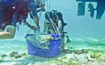 Une journée type de la mission Karubenthos.