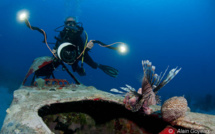 Formation photo sous-marine numérique en Guadeloupe. 