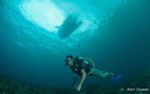 Conseils sur l’orientation en plongée sous-marine.