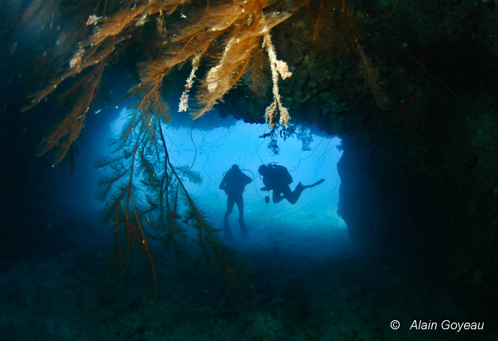 La Grotte aux Barracudas 