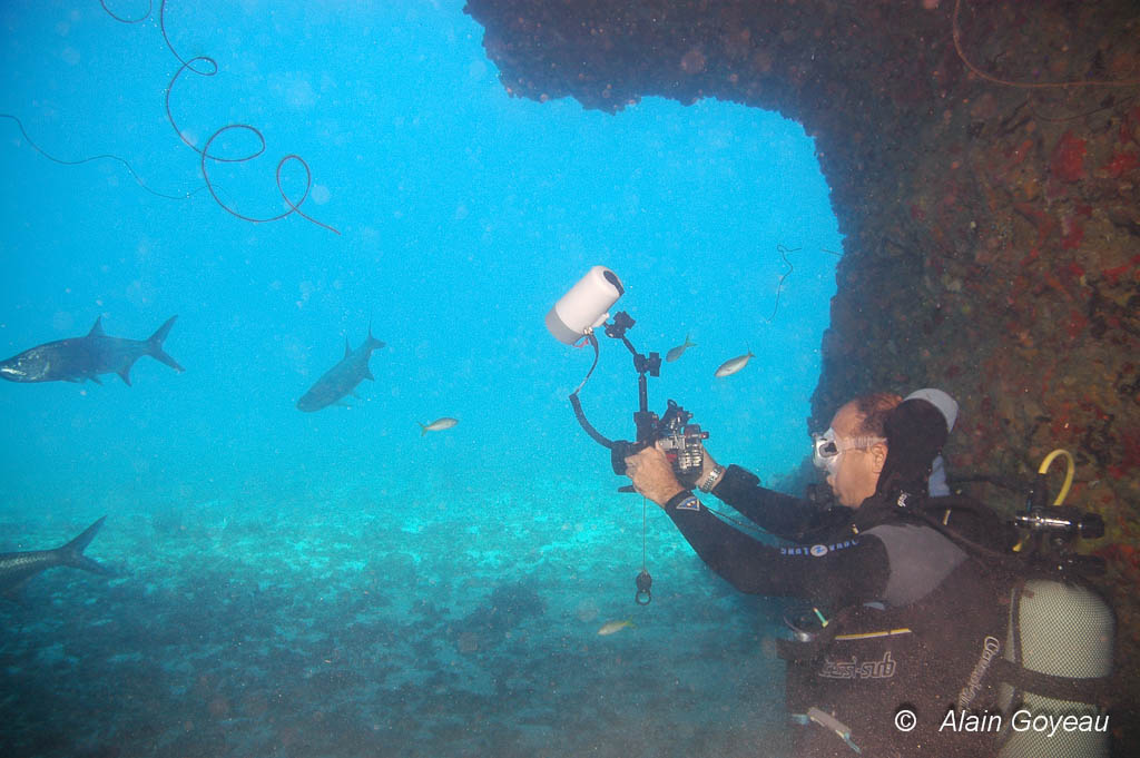 La Grande Arche La Grande Arche