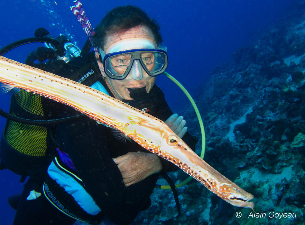 Poisson Trompette