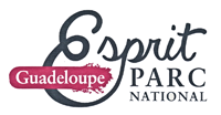 Un-centre-de-plongee-en-Guadeloupe-labellise-Esprit-Parc-National-Guadeloupe_a325.html
