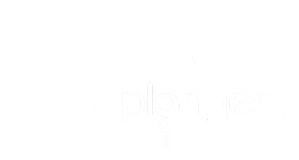 eden plongée